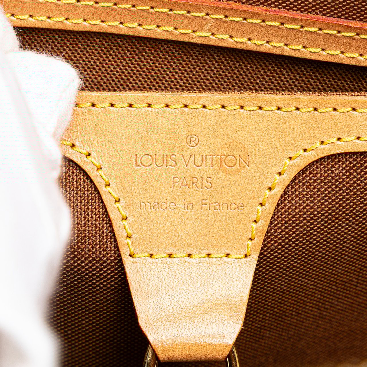 Louis Vuitton Monogram Ellipse Backpack Bruin