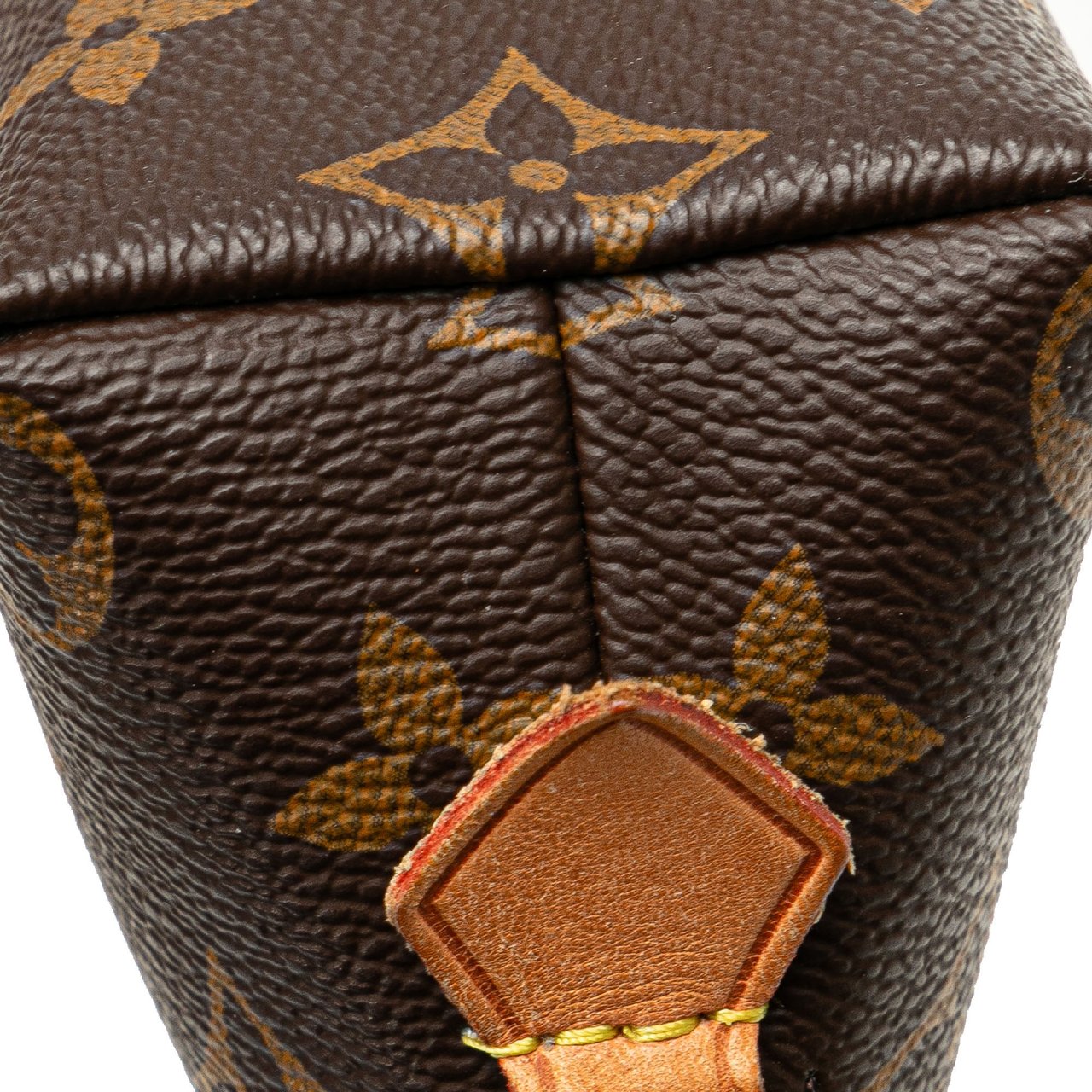 Louis Vuitton Monogram Cosmetic Pouch Bruin