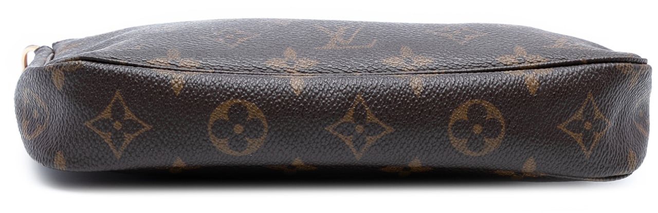 Louis Vuitton Monogram Pochette Accessoires Bruin