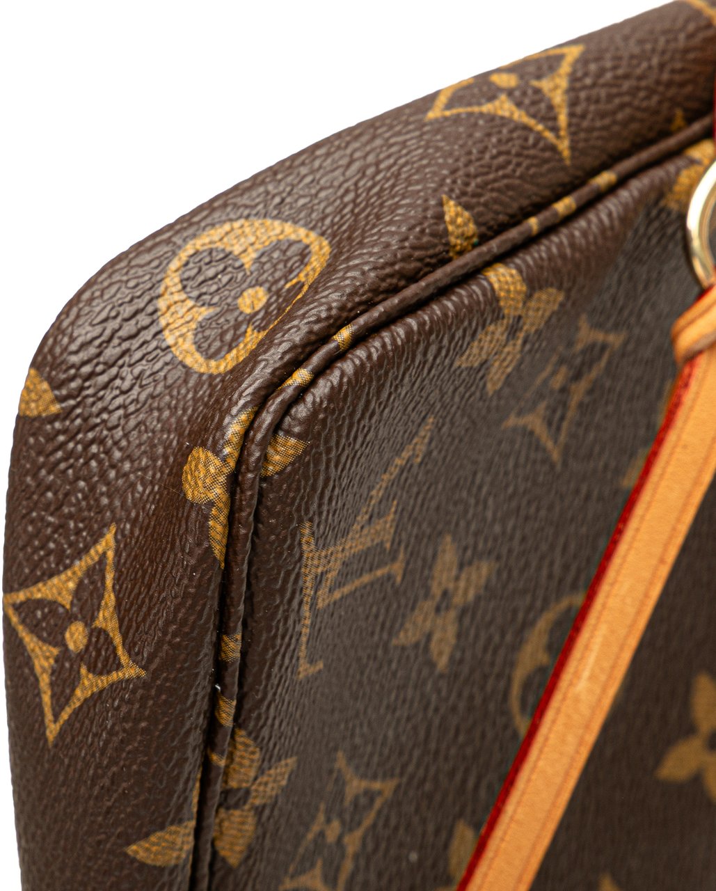 Louis Vuitton Monogram Pochette Accessoires Bruin