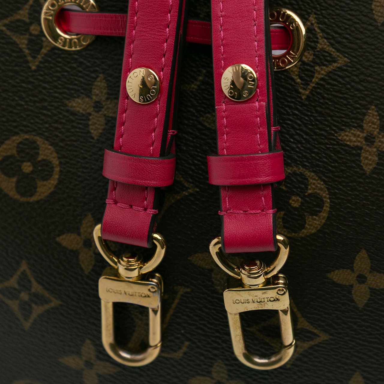 Louis Vuitton Monogram Neonoe MM Bruin