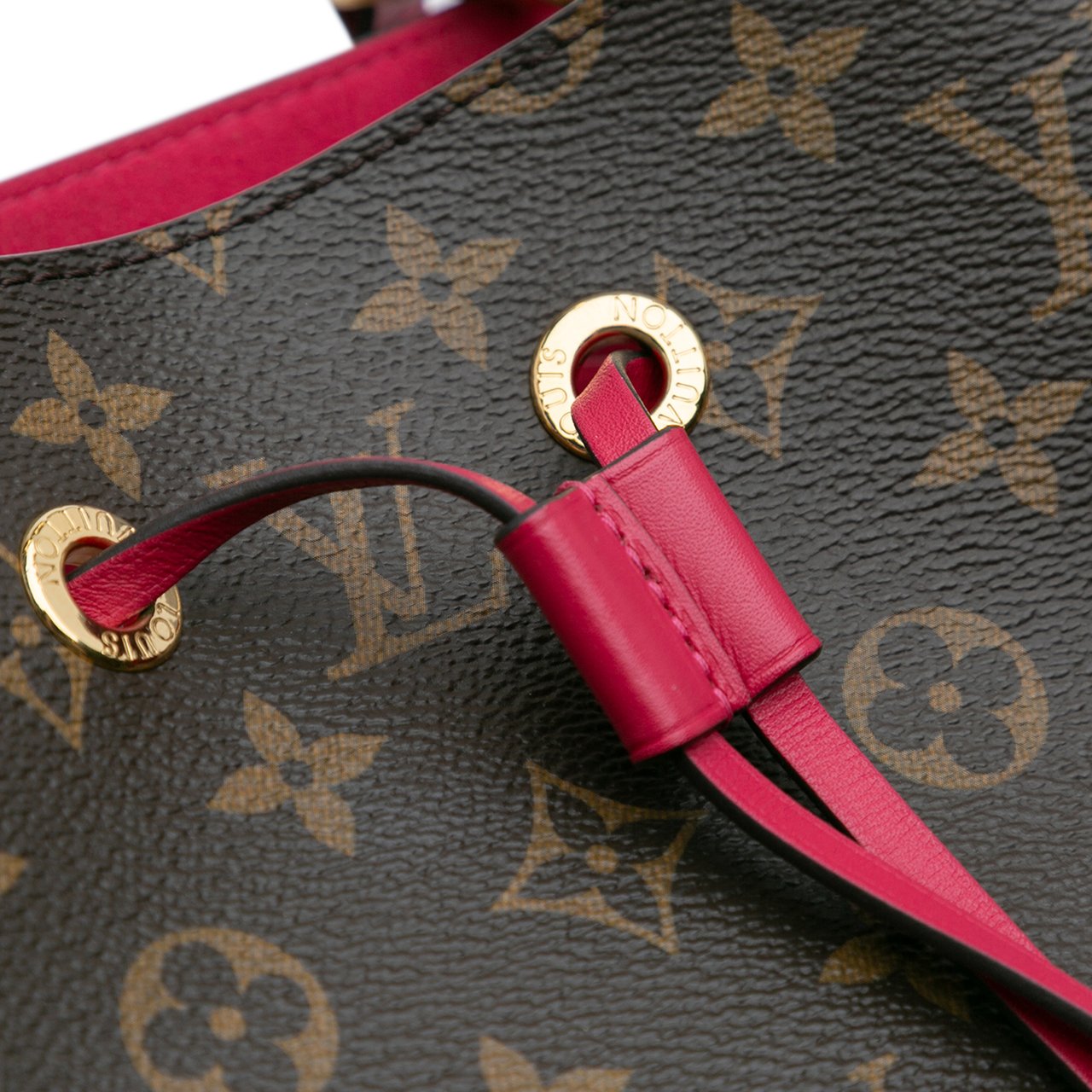 Louis Vuitton Monogram Neonoe MM Bruin