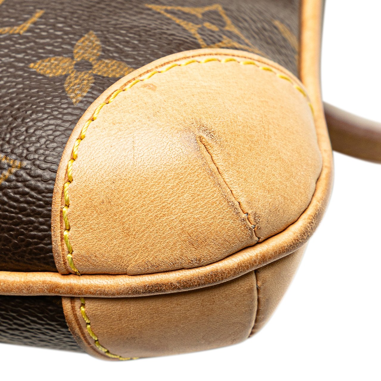Louis Vuitton Monogram Coussin GM Bruin
