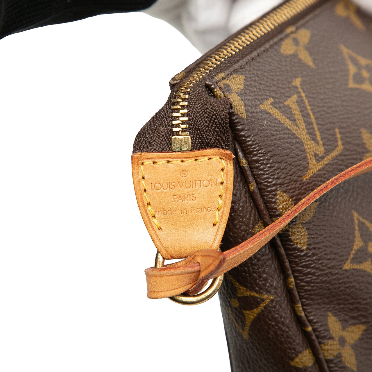 Louis Vuitton Monogram Pochette Accessoires Bruin