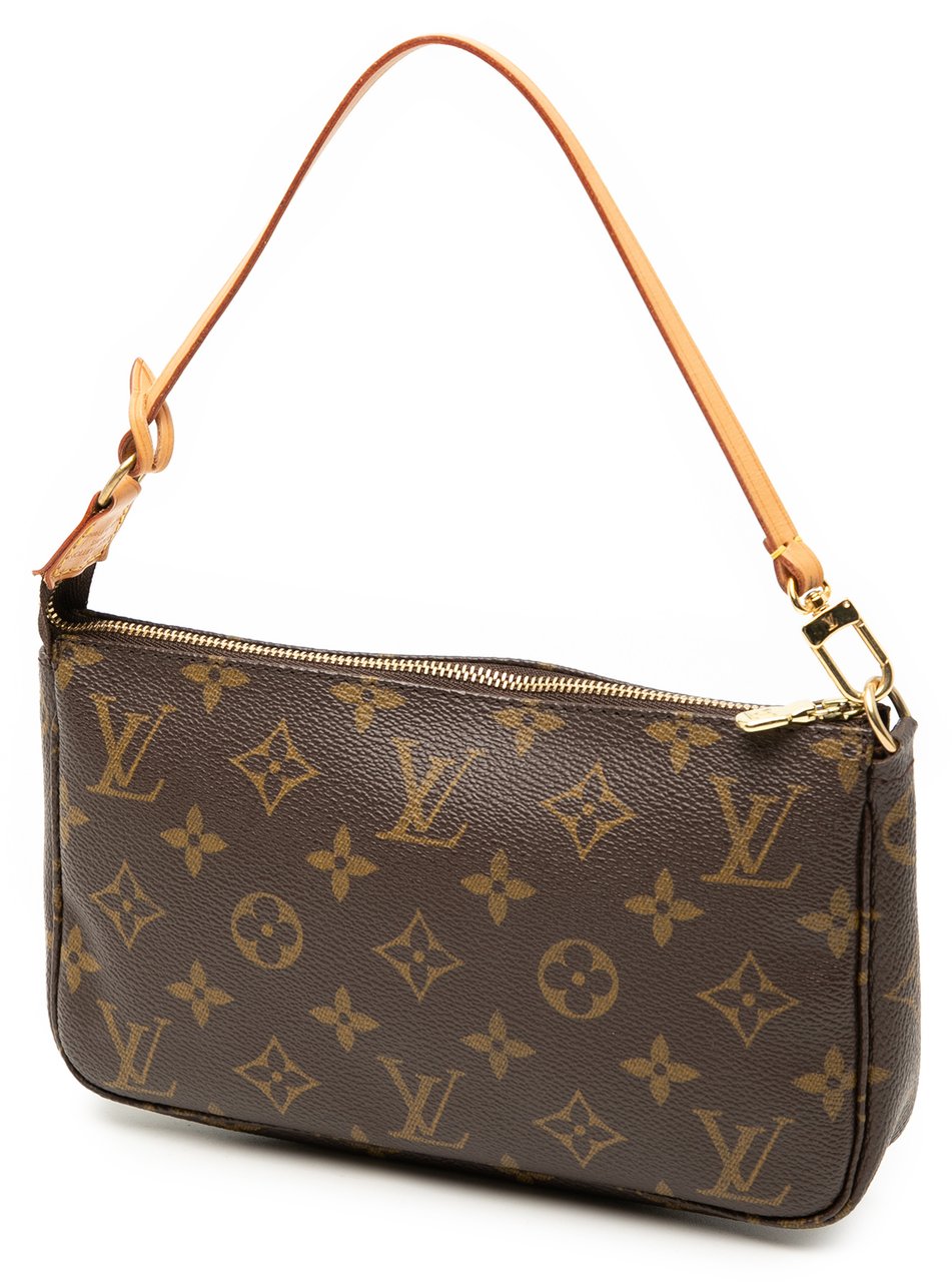 Louis Vuitton Monogram Pochette Accessoires Bruin