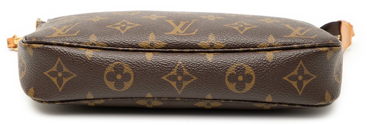 Louis Vuitton Monogram Pochette Accessoires Bruin