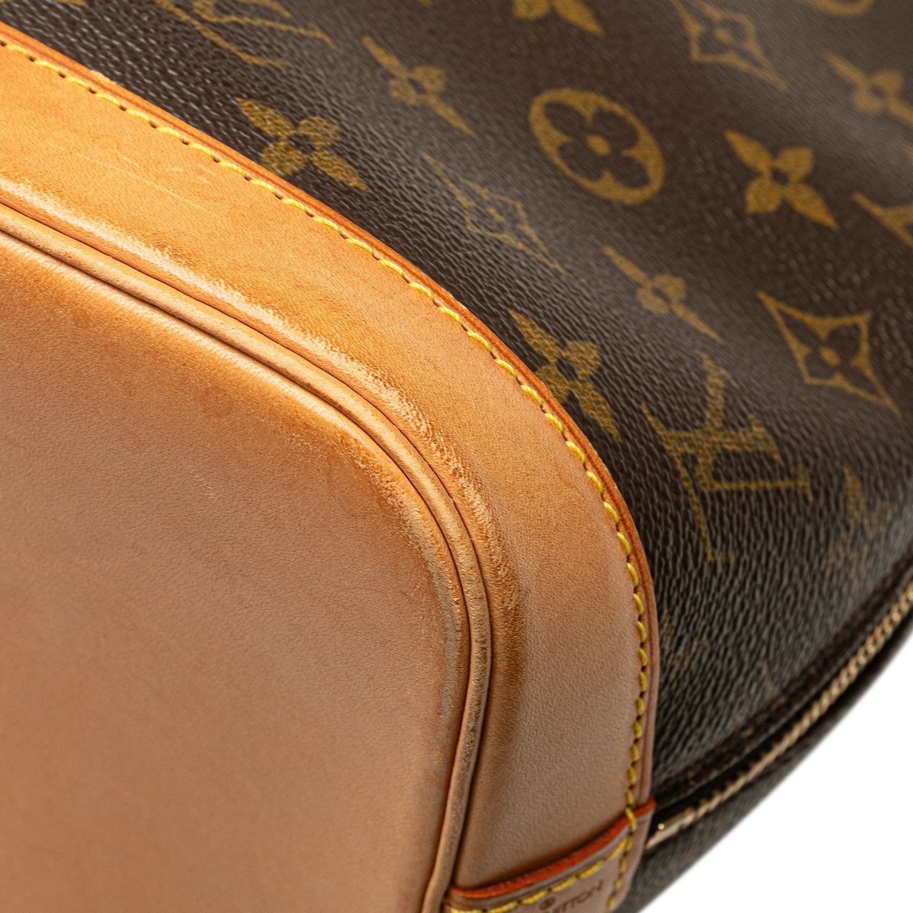 Louis Vuitton Monogram Alma PM Bruin