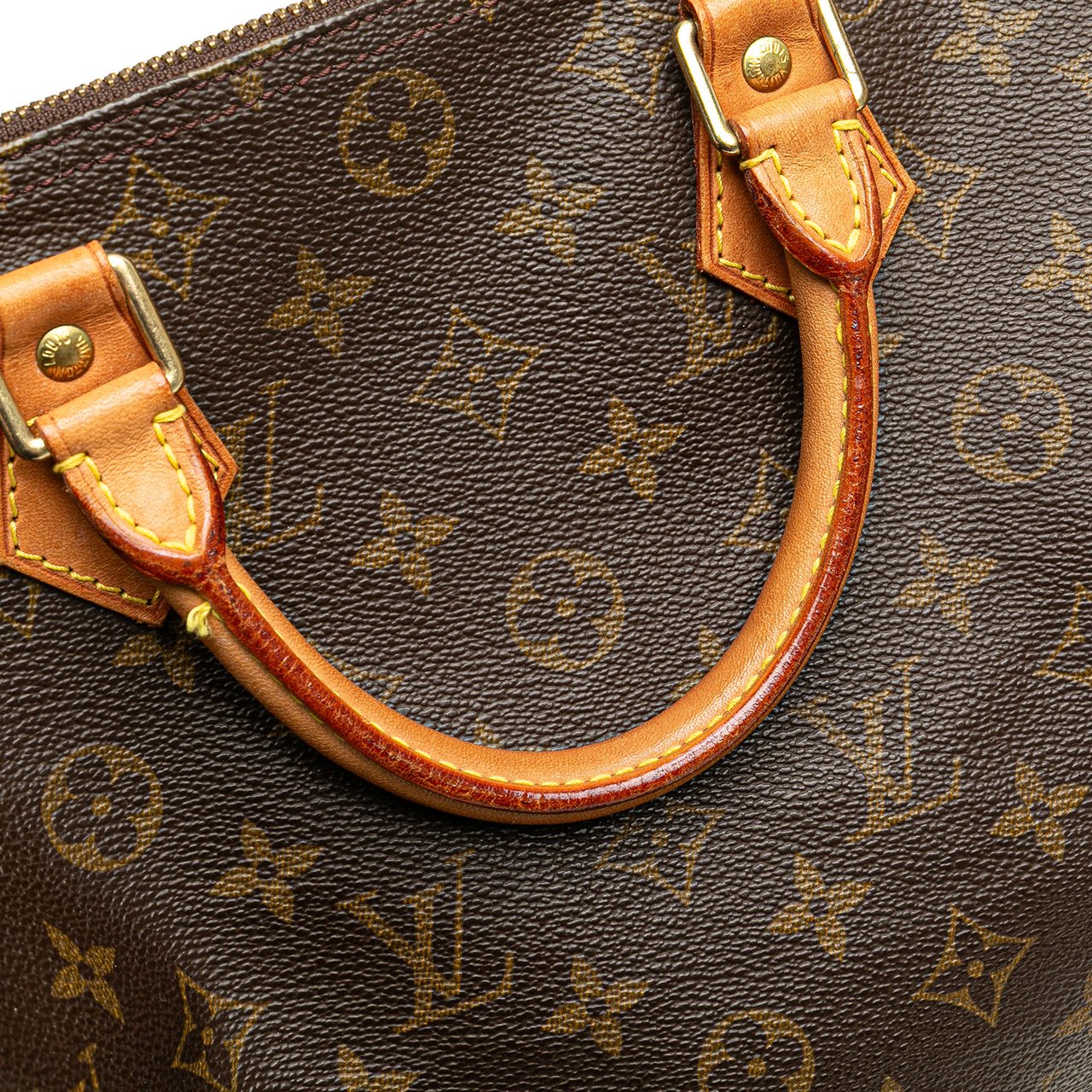 Louis Vuitton Monogram Speedy 30 Bruin
