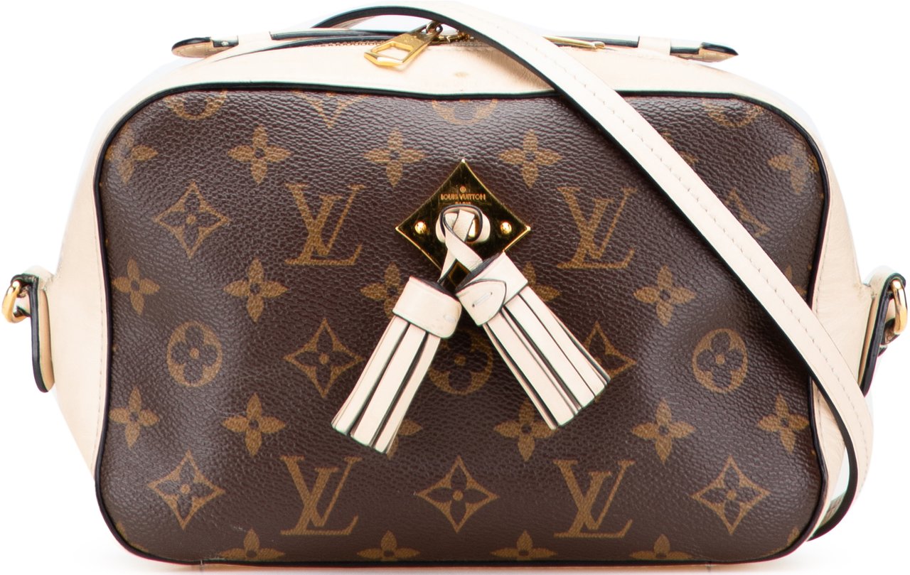 Louis Vuitton Monogram Saintonge Bruin