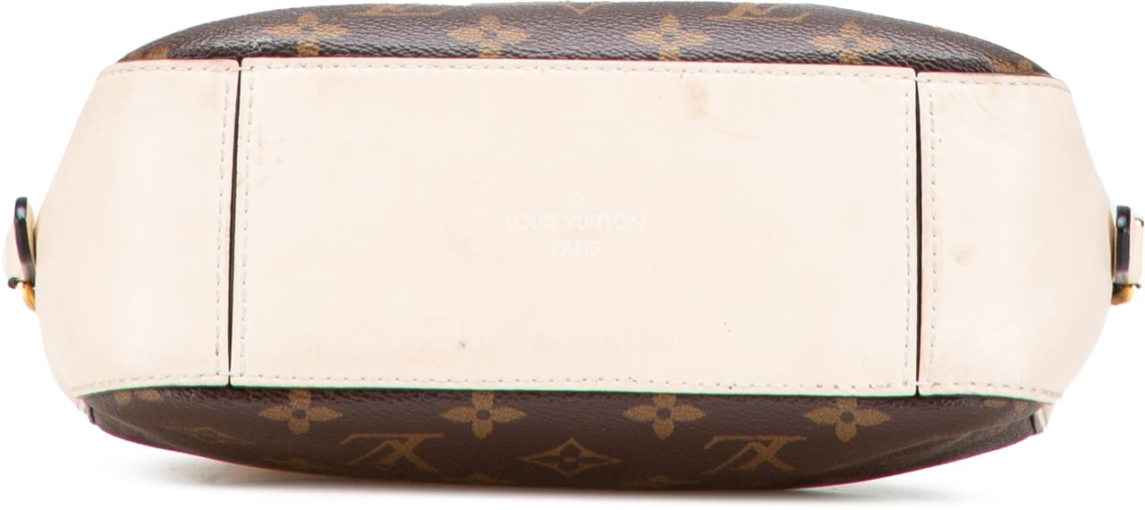 Louis Vuitton Monogram Saintonge Bruin