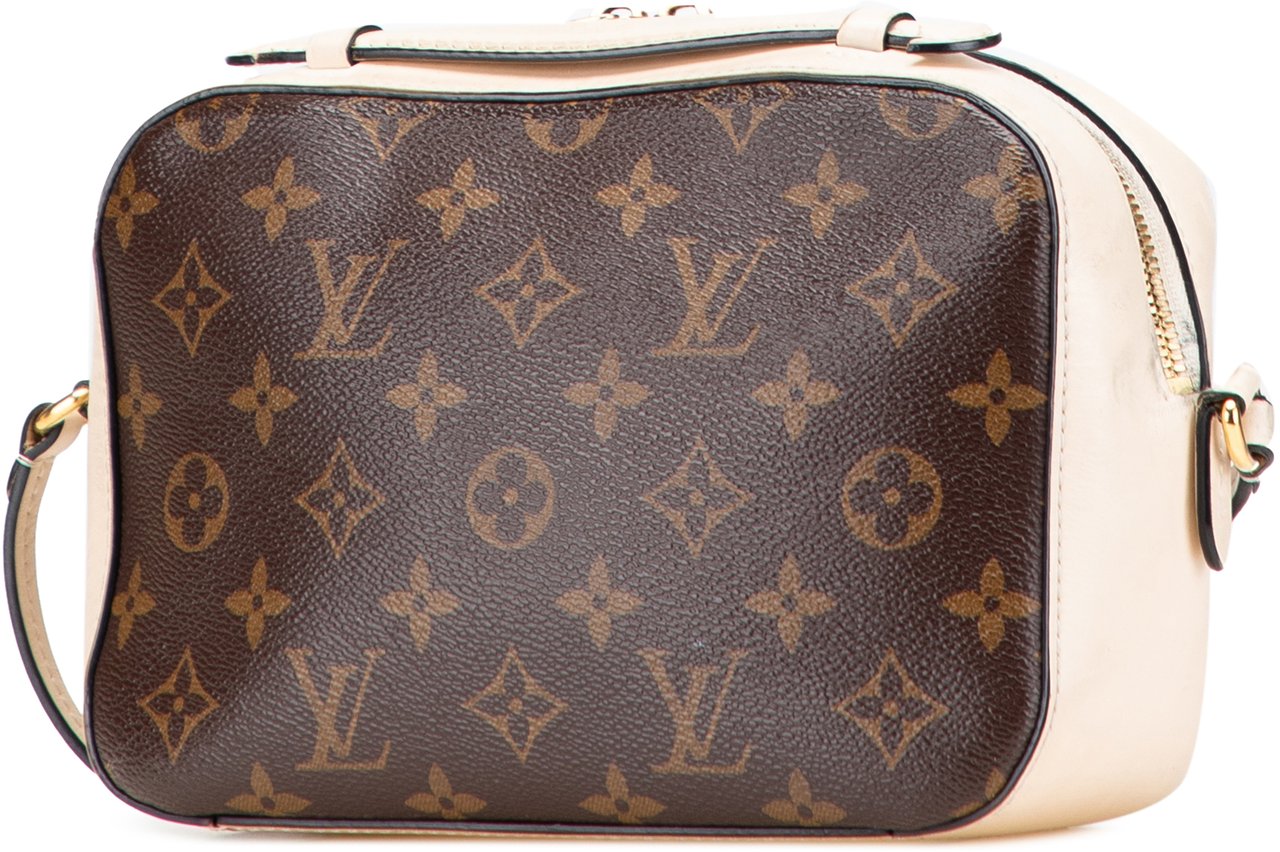 Louis Vuitton Monogram Saintonge Bruin