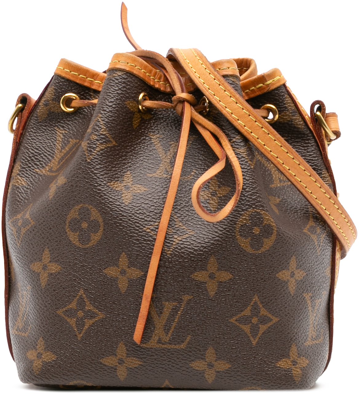 Louis Vuitton Monogram Nano Noe Bruin
