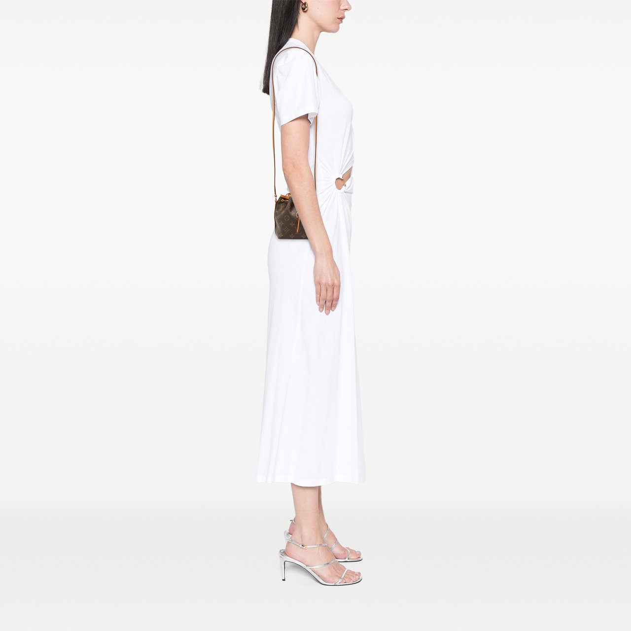 Louis Vuitton Monogram Nano Noe Bruin