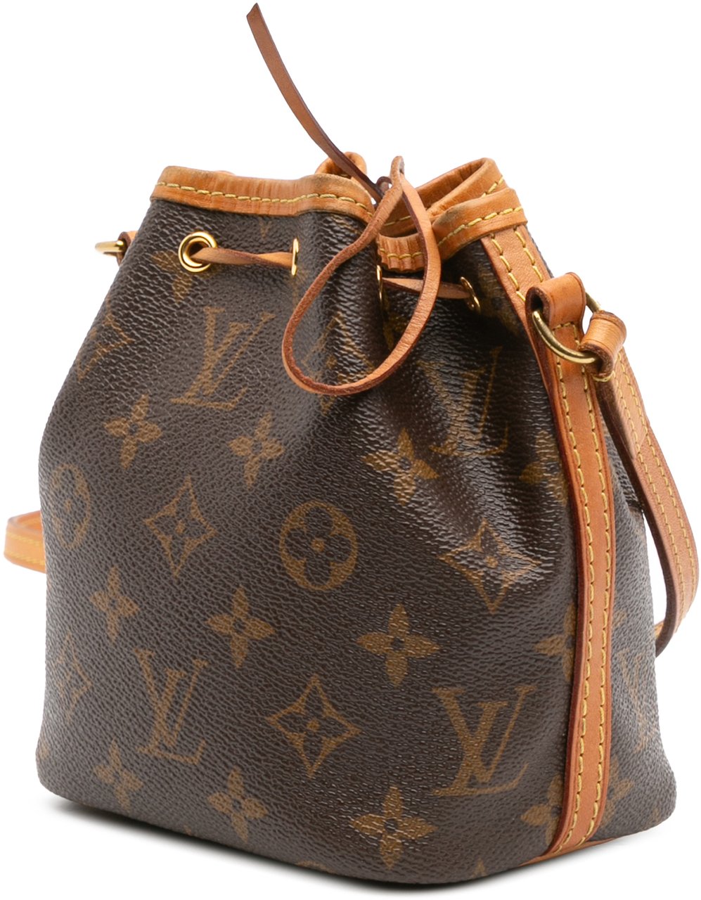 Louis Vuitton Monogram Nano Noe Bruin