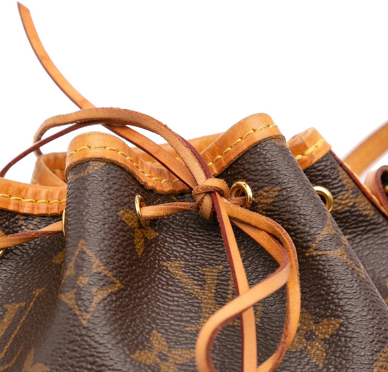 Louis Vuitton Monogram Nano Noe Bruin