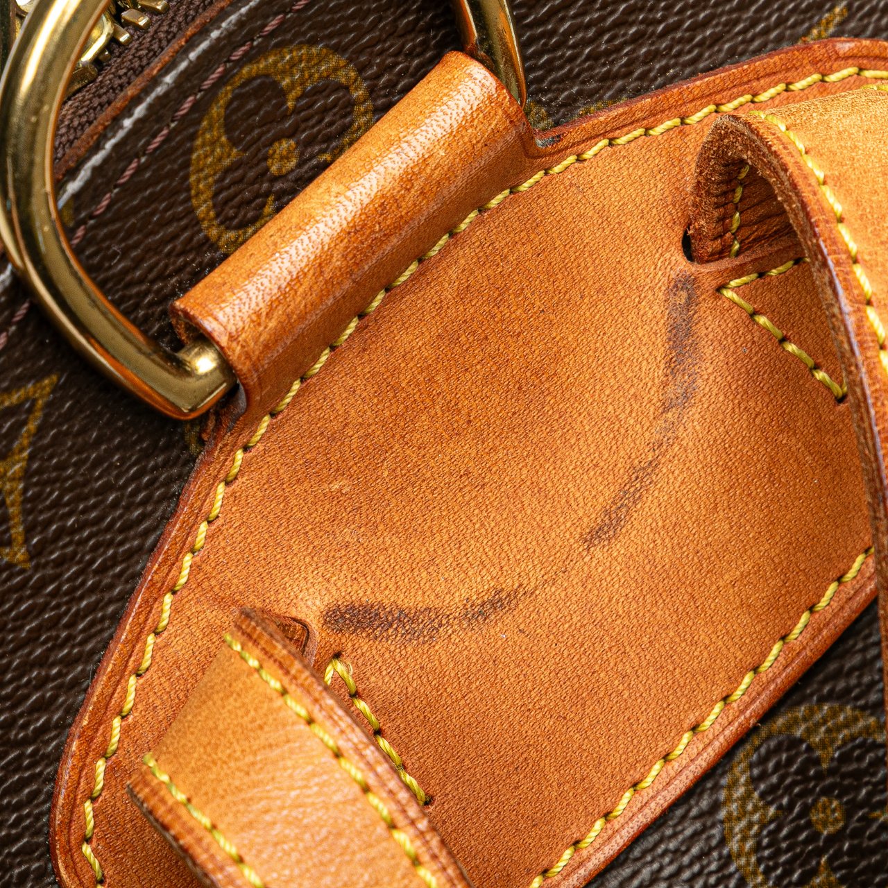 Louis Vuitton Monogram Ellipse Backpack Bruin