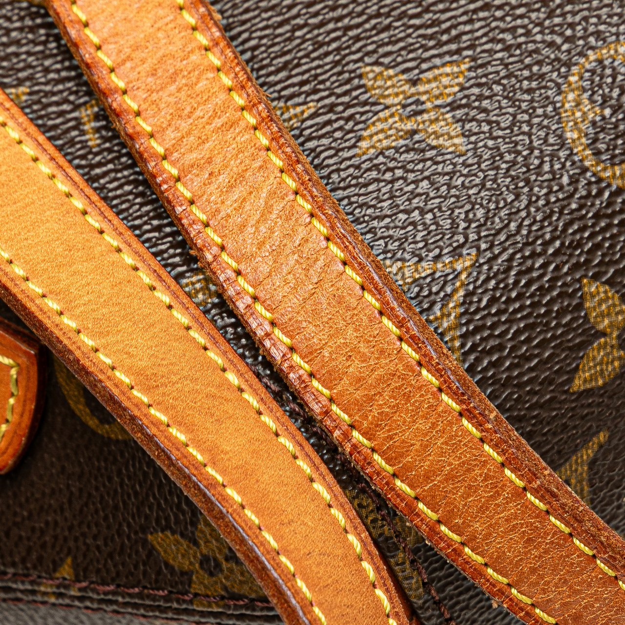 Louis Vuitton Monogram Ellipse Backpack Bruin