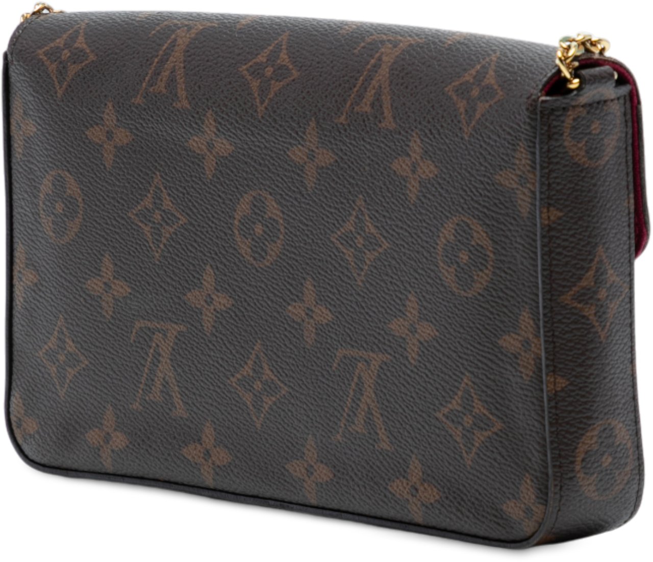 Louis Vuitton Monogram Pochette Felicie Bruin