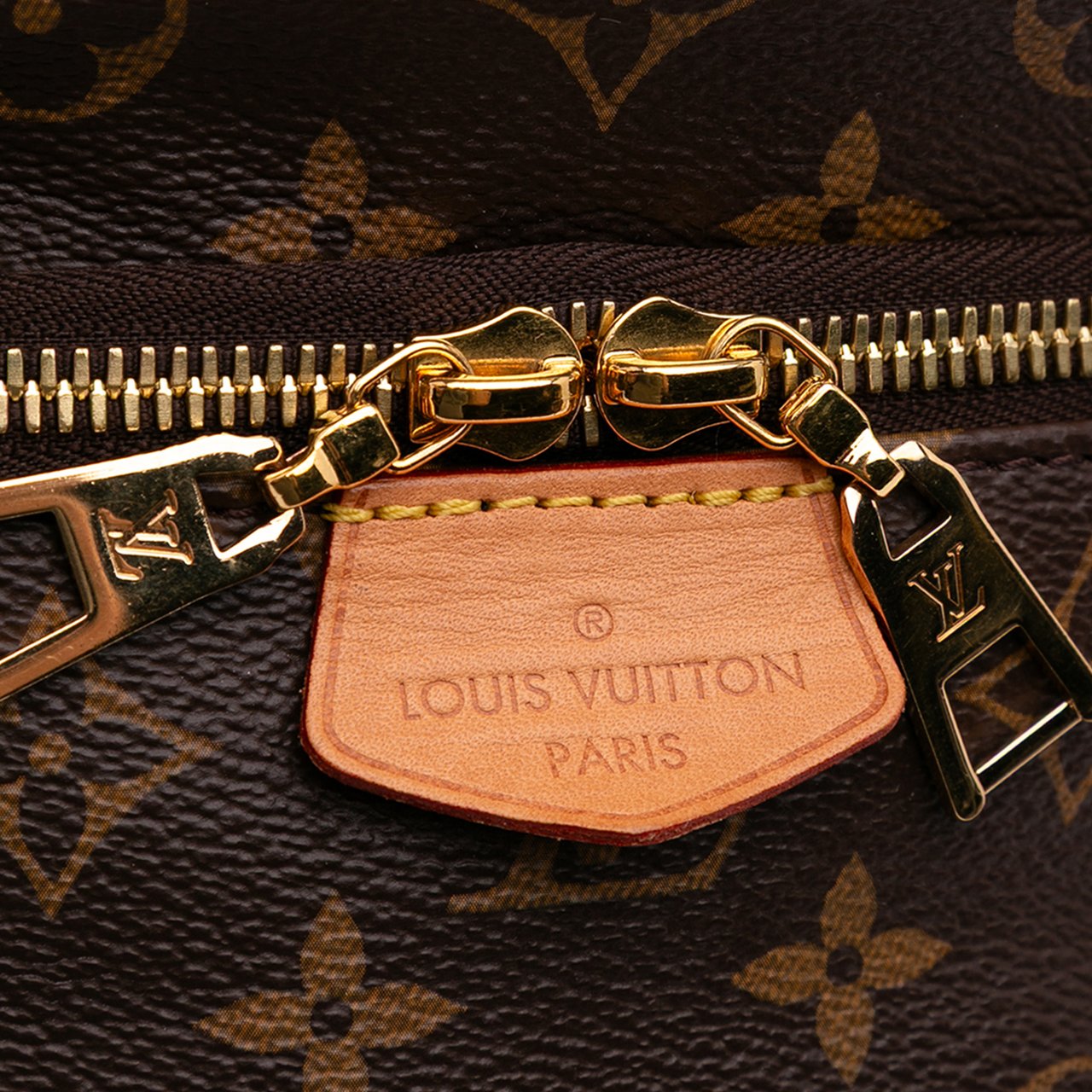 Louis Vuitton Monogram Bumbag Bruin