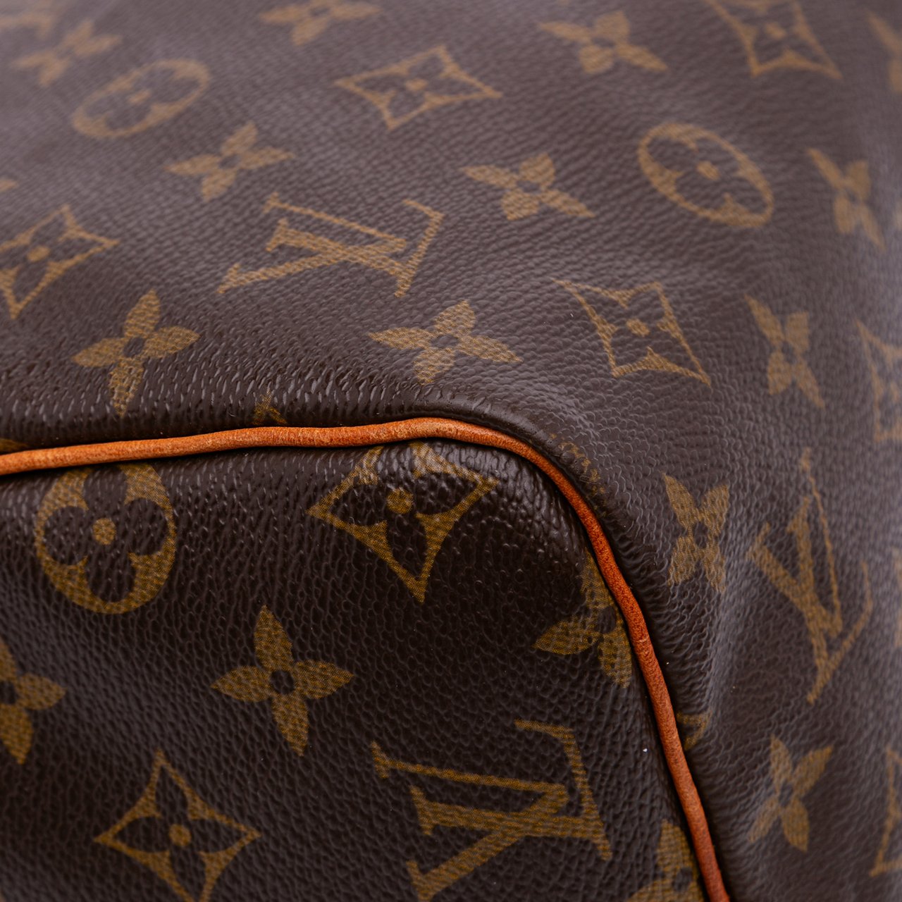 Louis Vuitton Monogram Speedy 30 Bruin