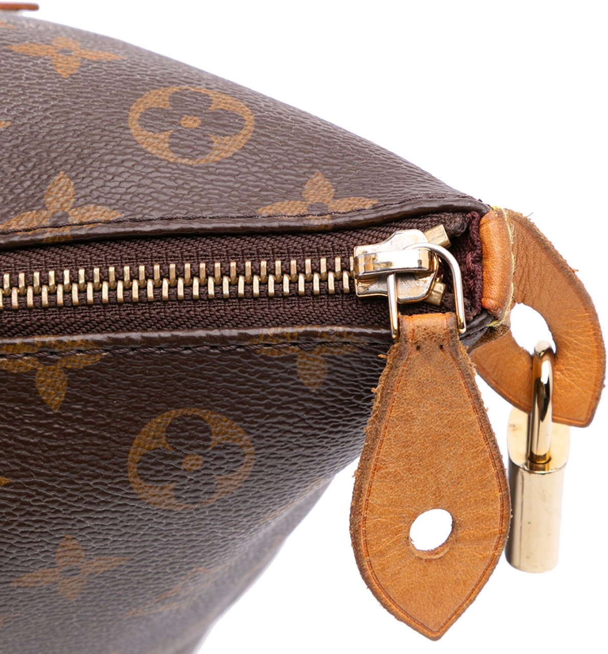 Louis Vuitton Monogram Iena MM Bruin