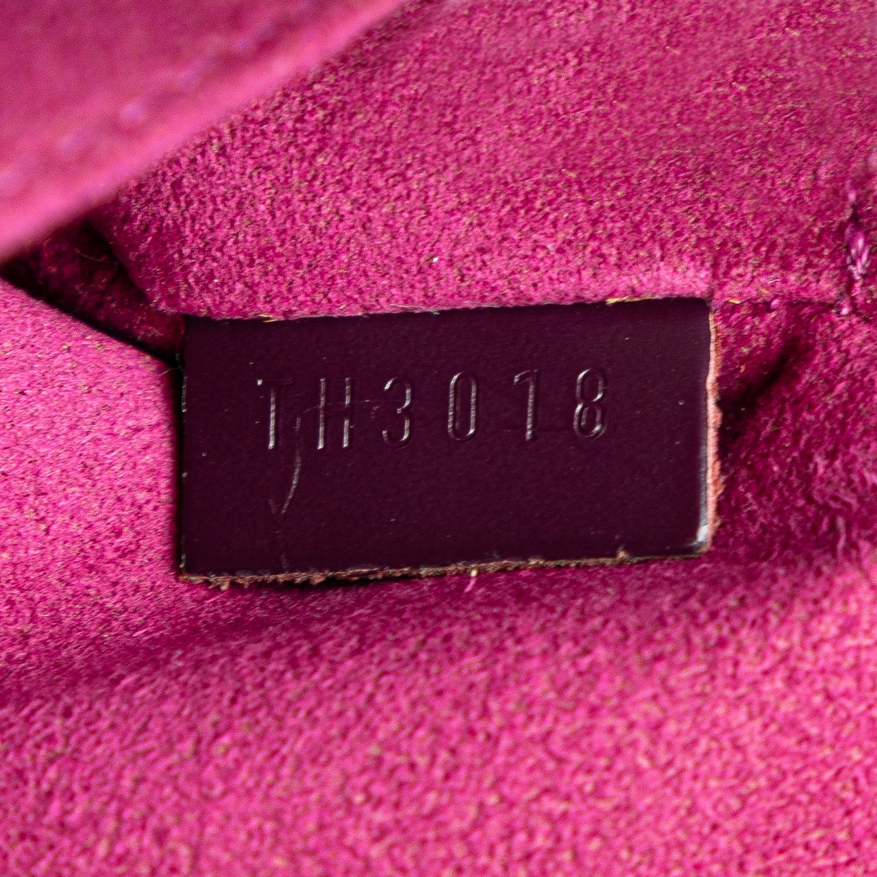 Louis Vuitton Epi Jasmine Paars