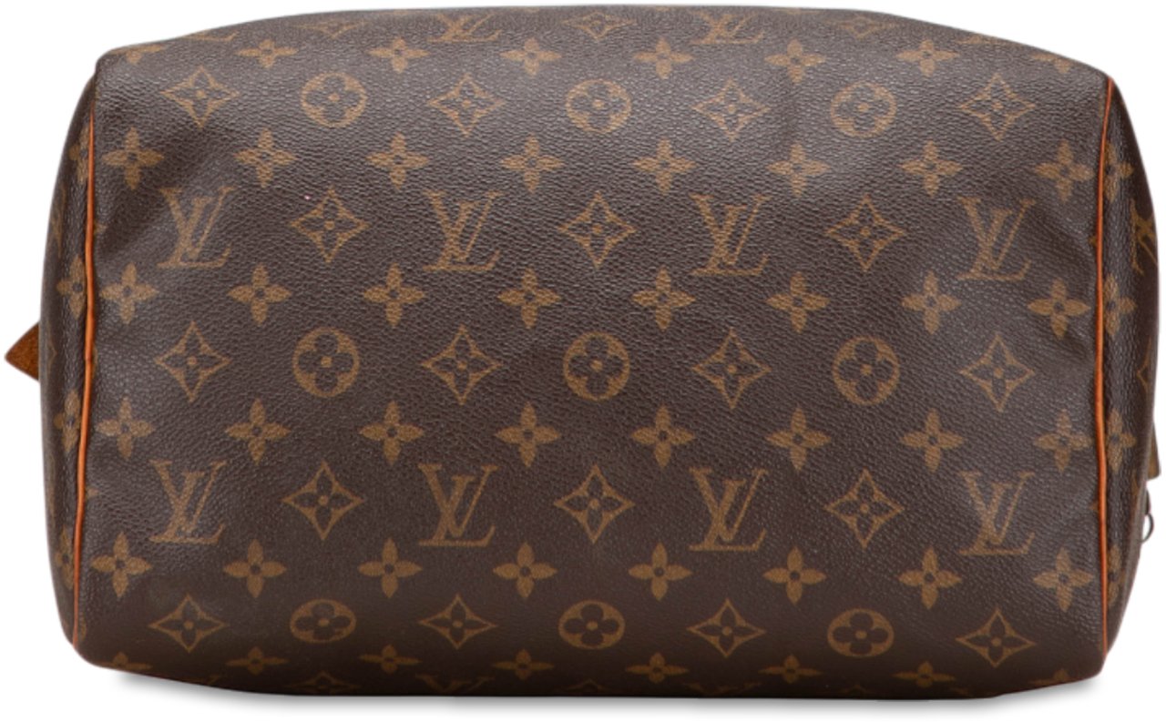 Louis Vuitton Monogram Speedy 30 Bruin