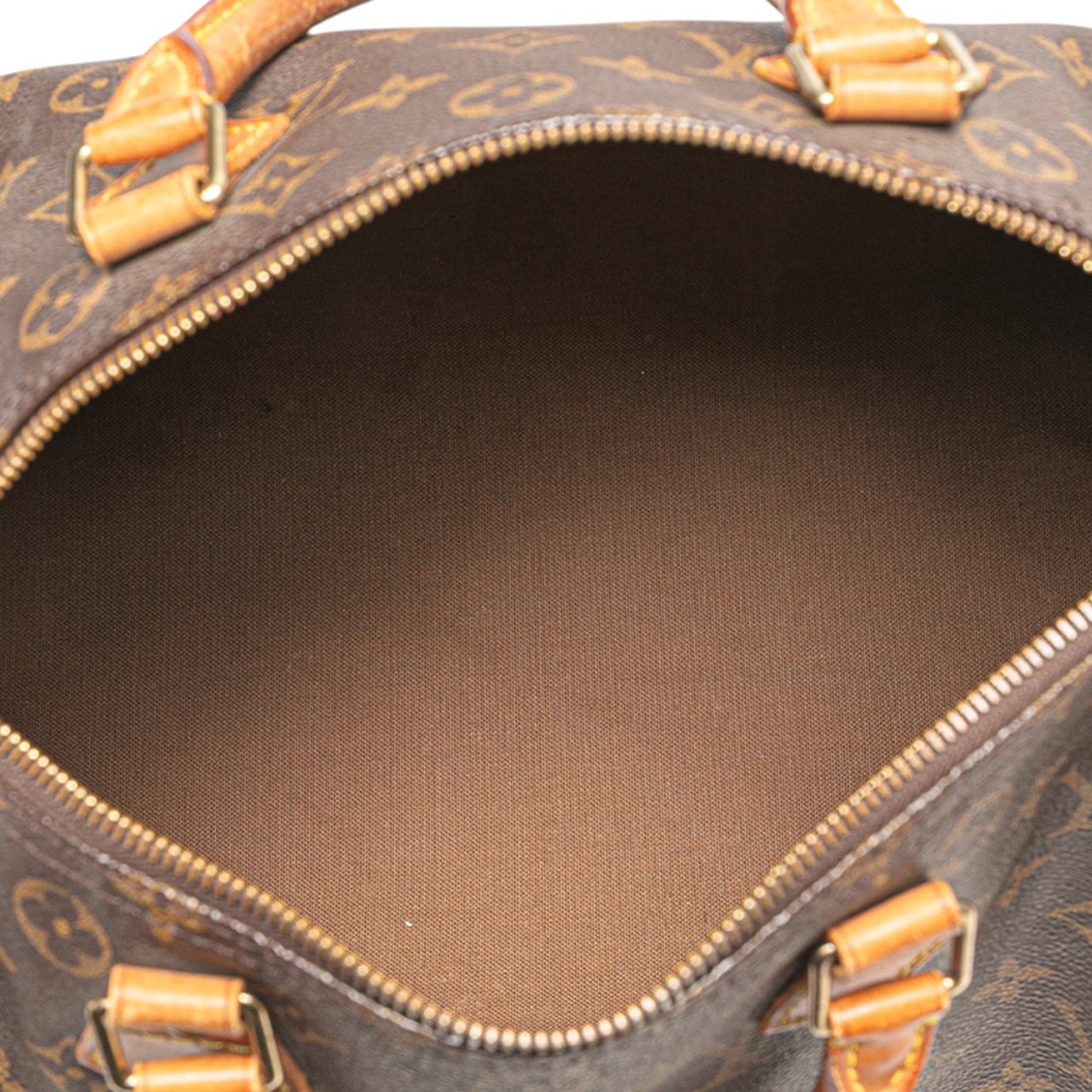 Louis Vuitton Monogram Speedy 30 Bruin