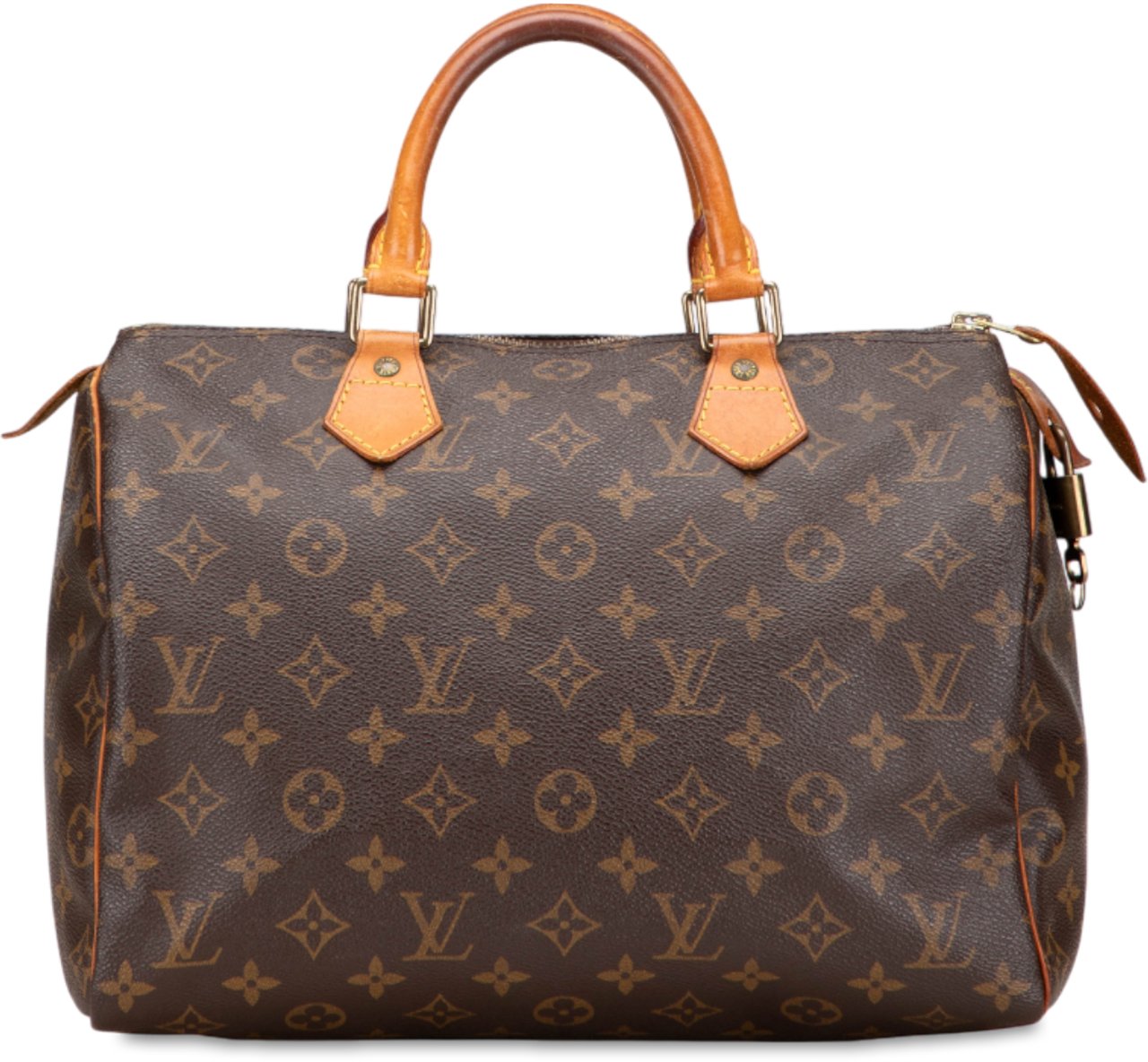 Louis Vuitton Monogram Speedy 30 Bruin