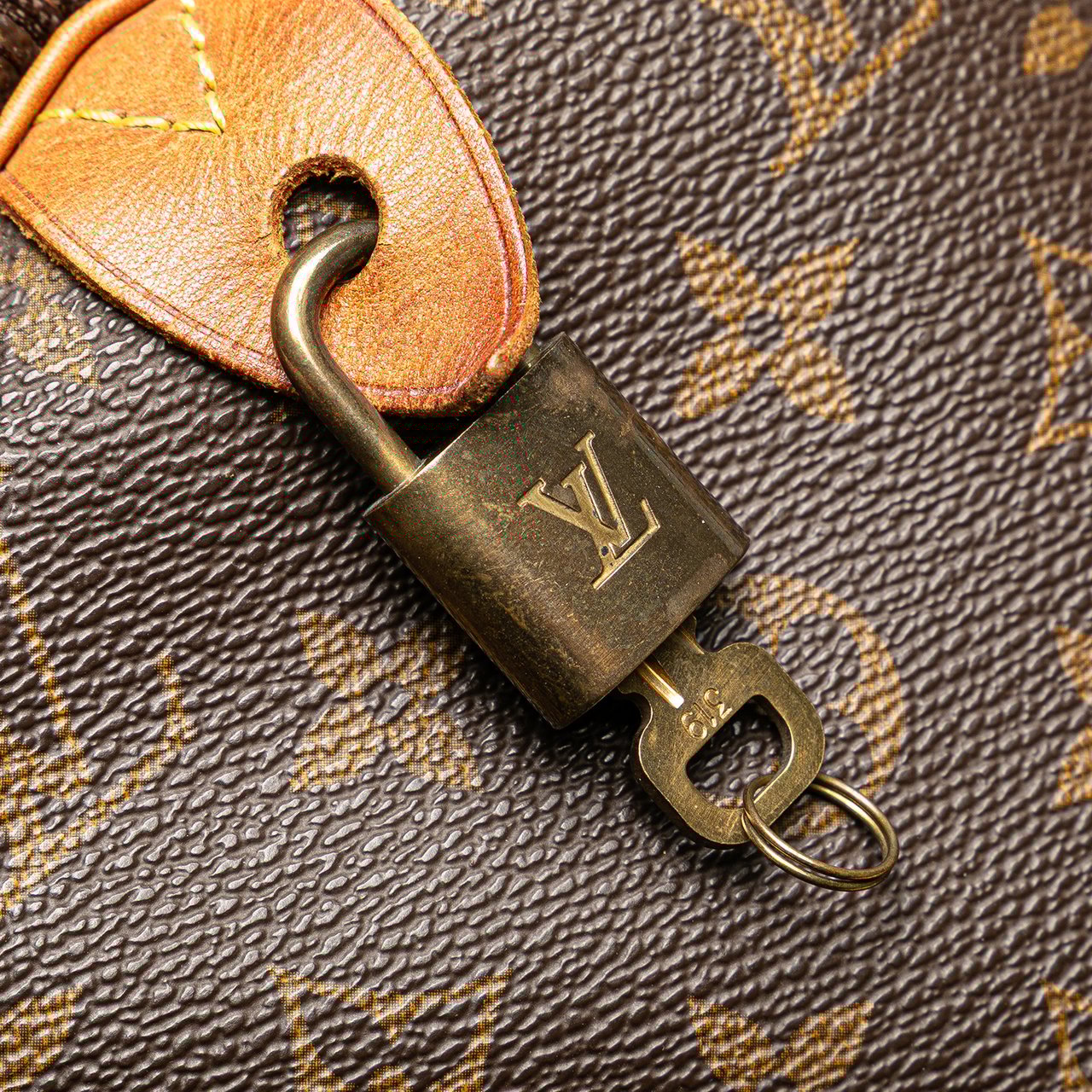 Louis Vuitton Monogram Speedy 30 Bruin