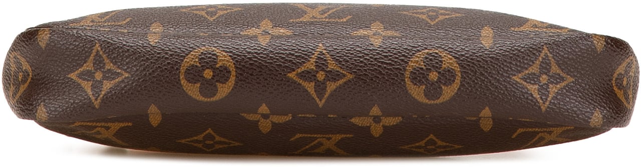 Louis Vuitton Monogram Pochette Accessoires Bruin