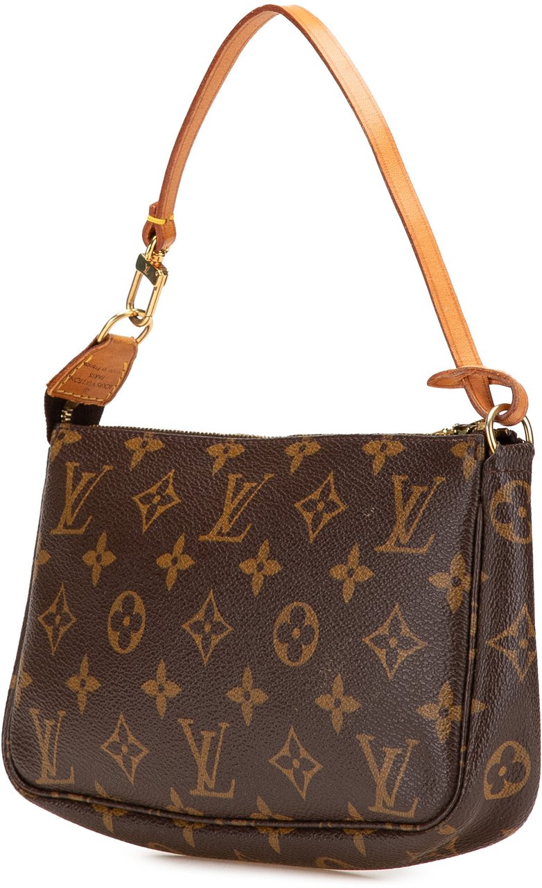 Louis Vuitton Monogram Pochette Accessoires Bruin