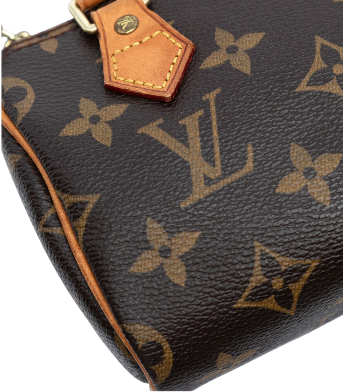 Louis Vuitton Monogram Mini Speedy HL Bruin