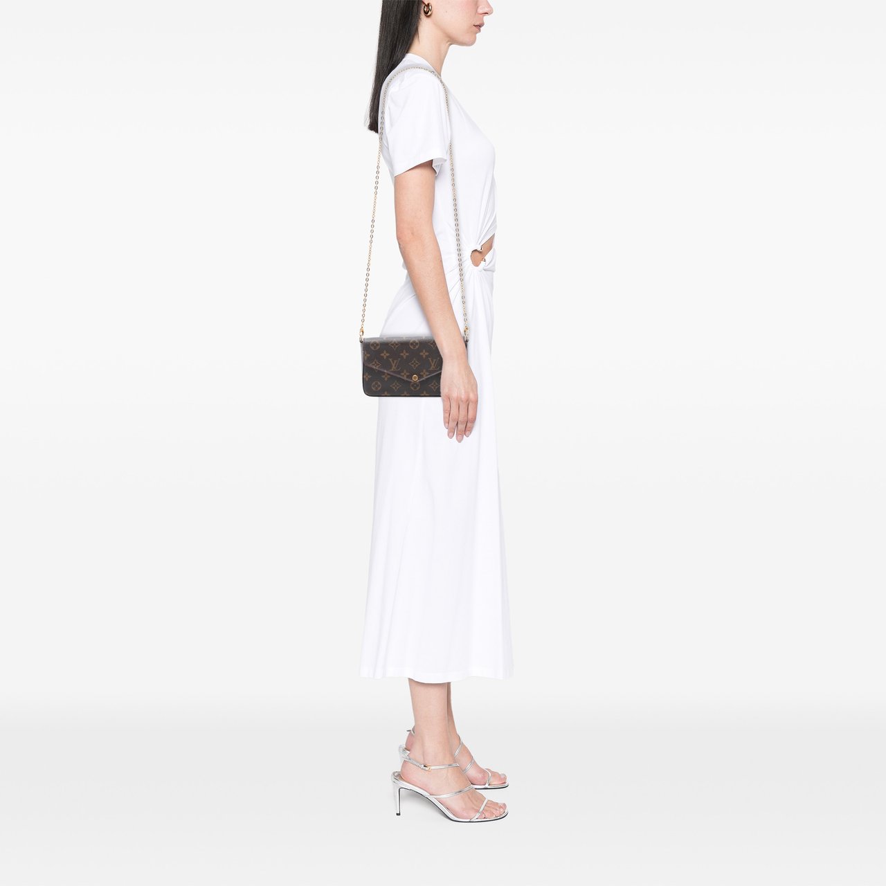 Louis Vuitton Monogram Pochette Felicie Bruin