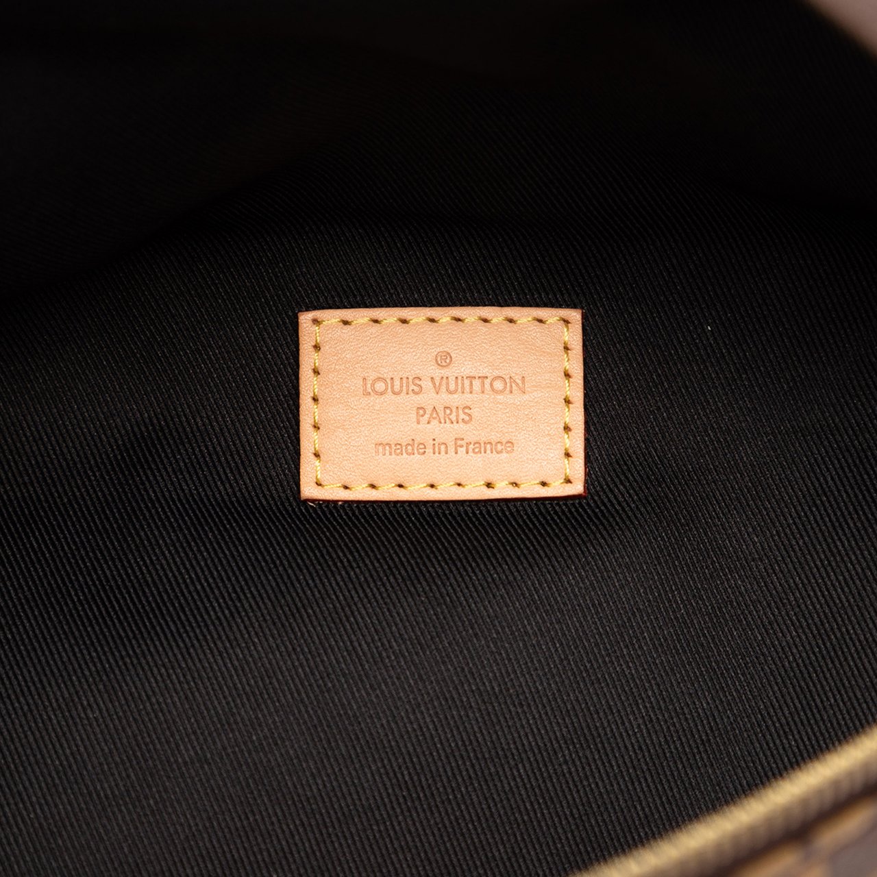 Louis Vuitton Monogram Bumbag Bruin