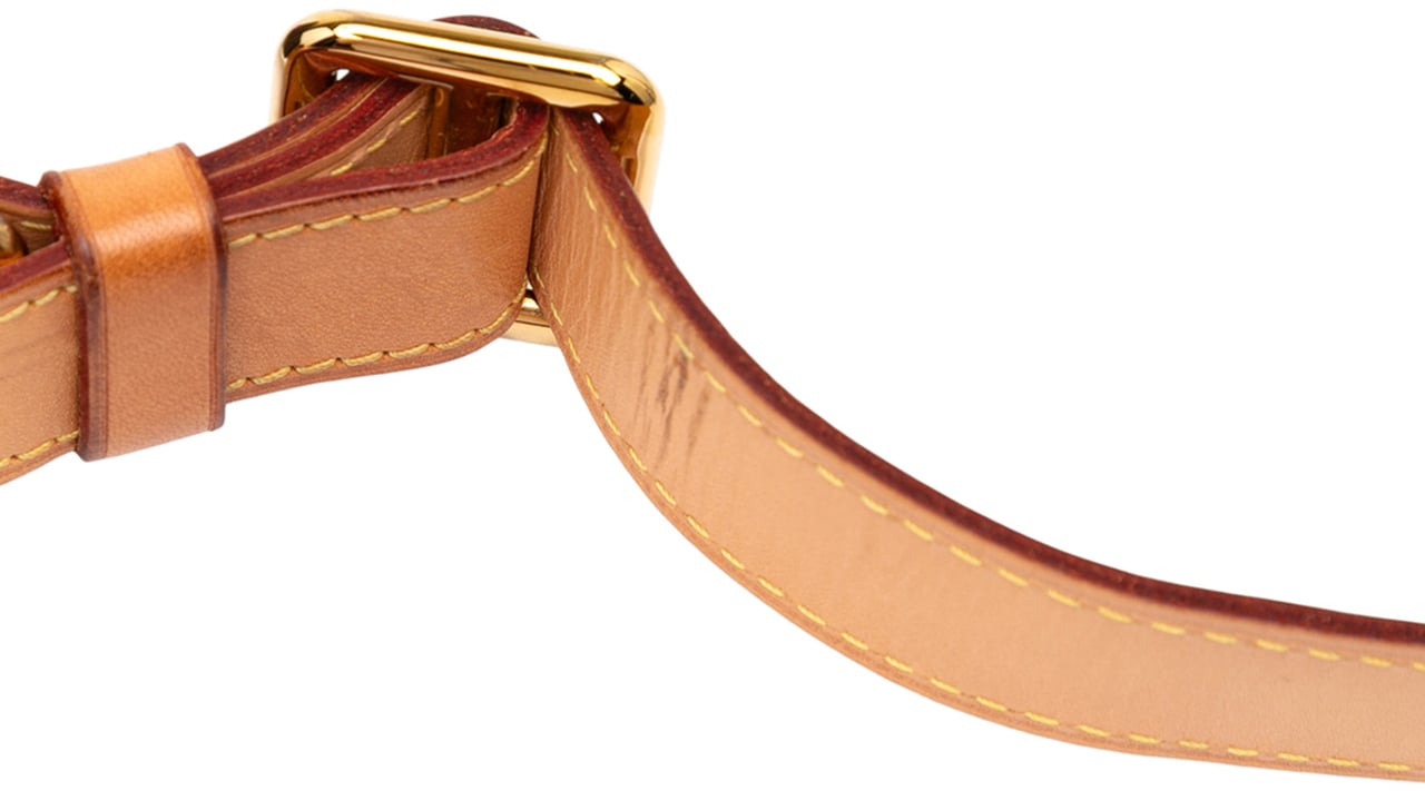 Louis Vuitton Monogram Bumbag Bruin