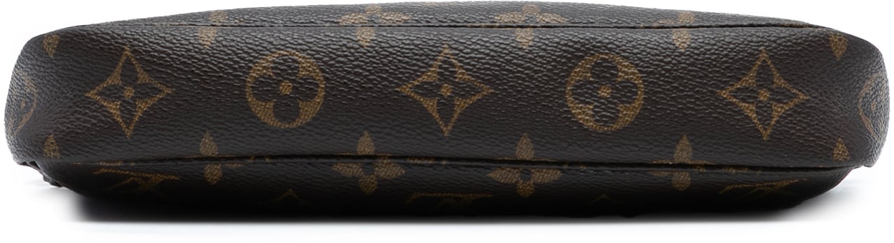 Louis Vuitton Monogram Pochette Accessoires Bruin
