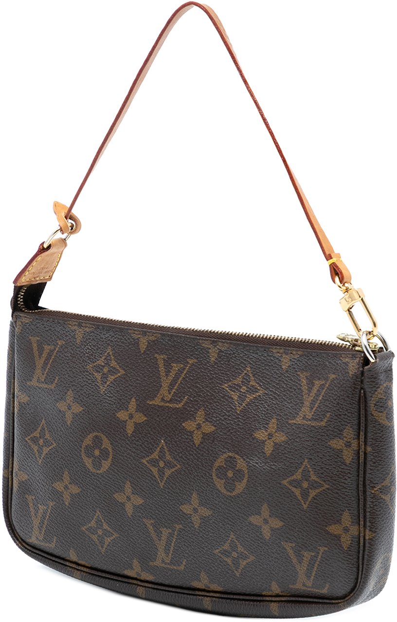Louis Vuitton Monogram Pochette Accessoires Bruin