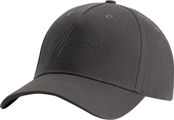 Malelions Malelions Striped Signature Cap Bruin