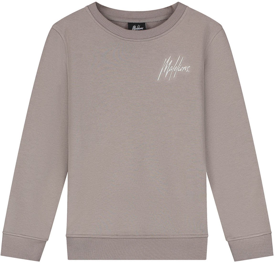 Malelions Malelions Junior Striped Signature Sweater Grijs