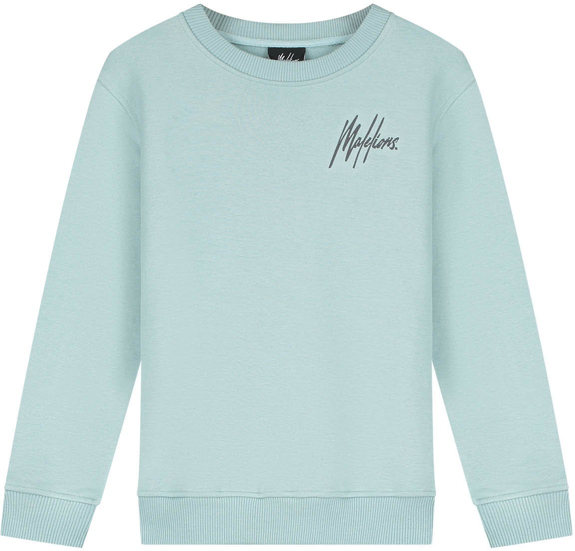 Malelions Malelions Junior Striped Signature Sweater Grijs