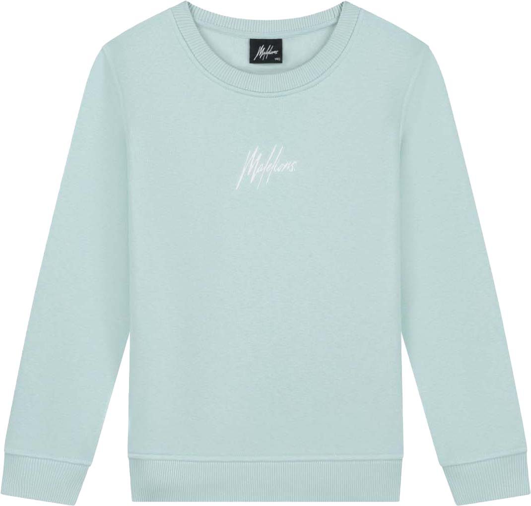 Malelions Malelions Junior Striped Signature Sweater Blauw