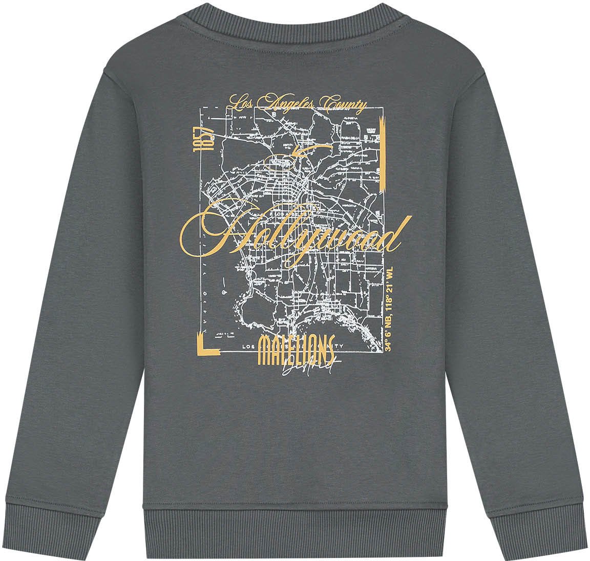 Malelions Malelions Junior Hollywood Map Sweater Grijs