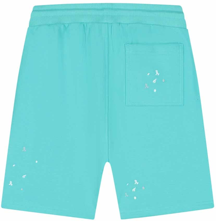 Malelions Malelions Men Painter Shorts Blauw