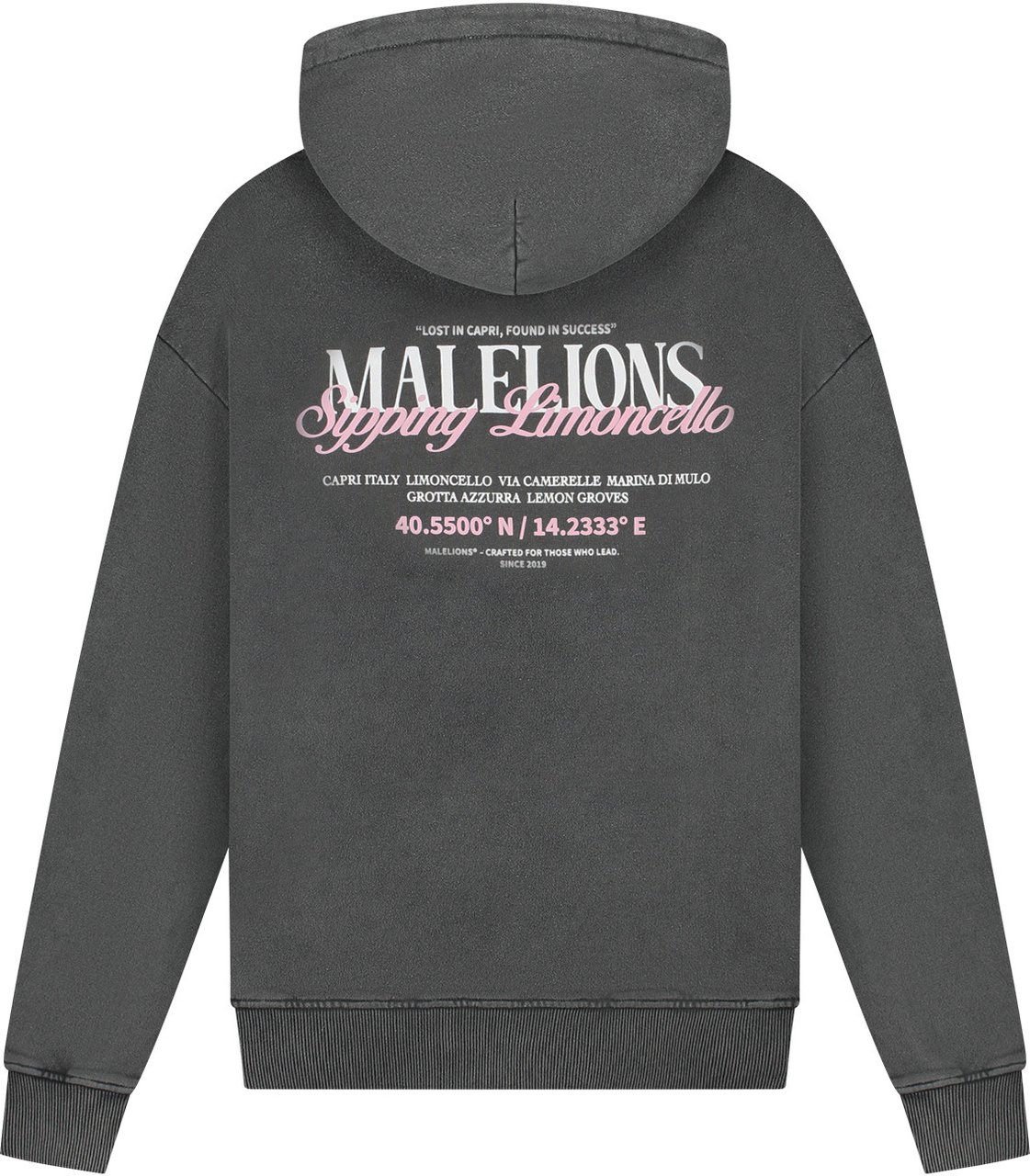Malelions Malelions Men Sipping Limoncello Hoodie Grijs