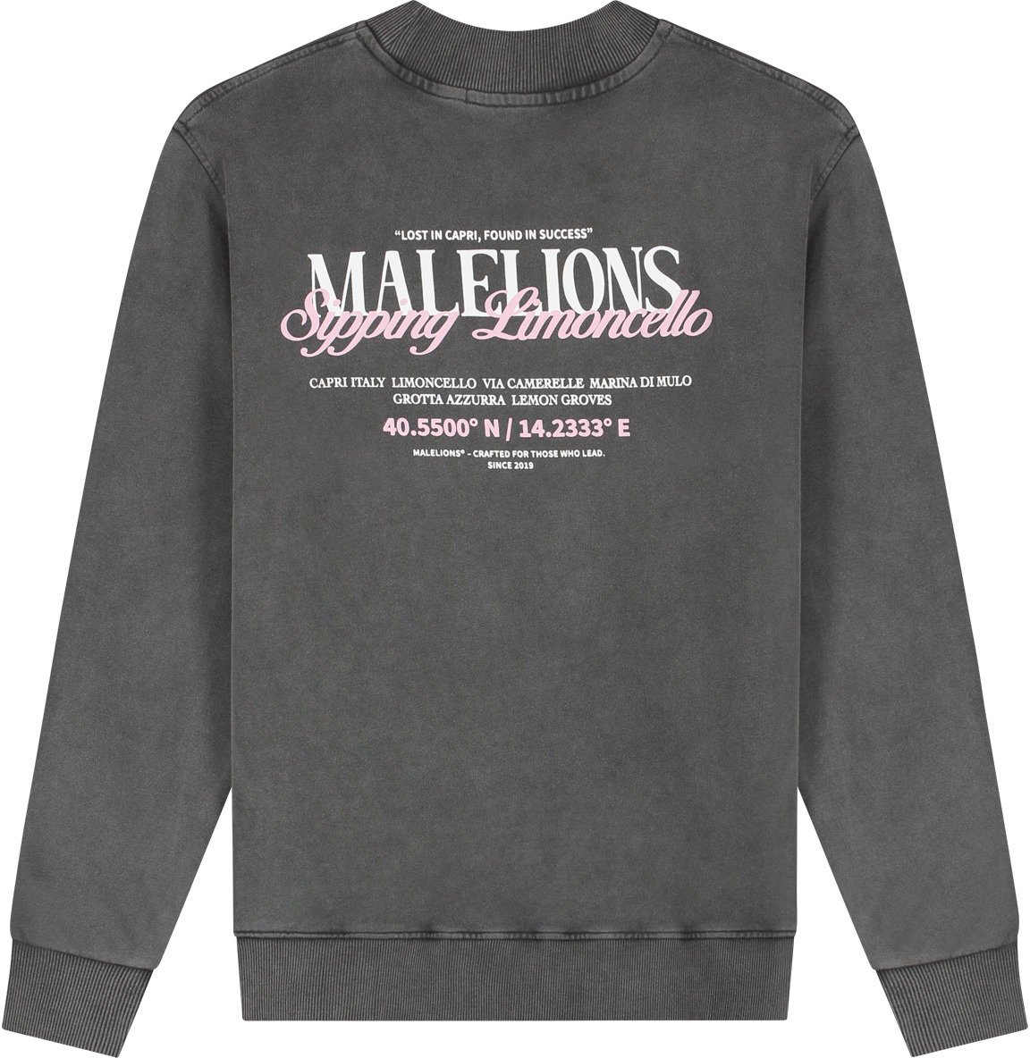 Malelions Malelions Men Sipping Limoncello Sweater Grijs