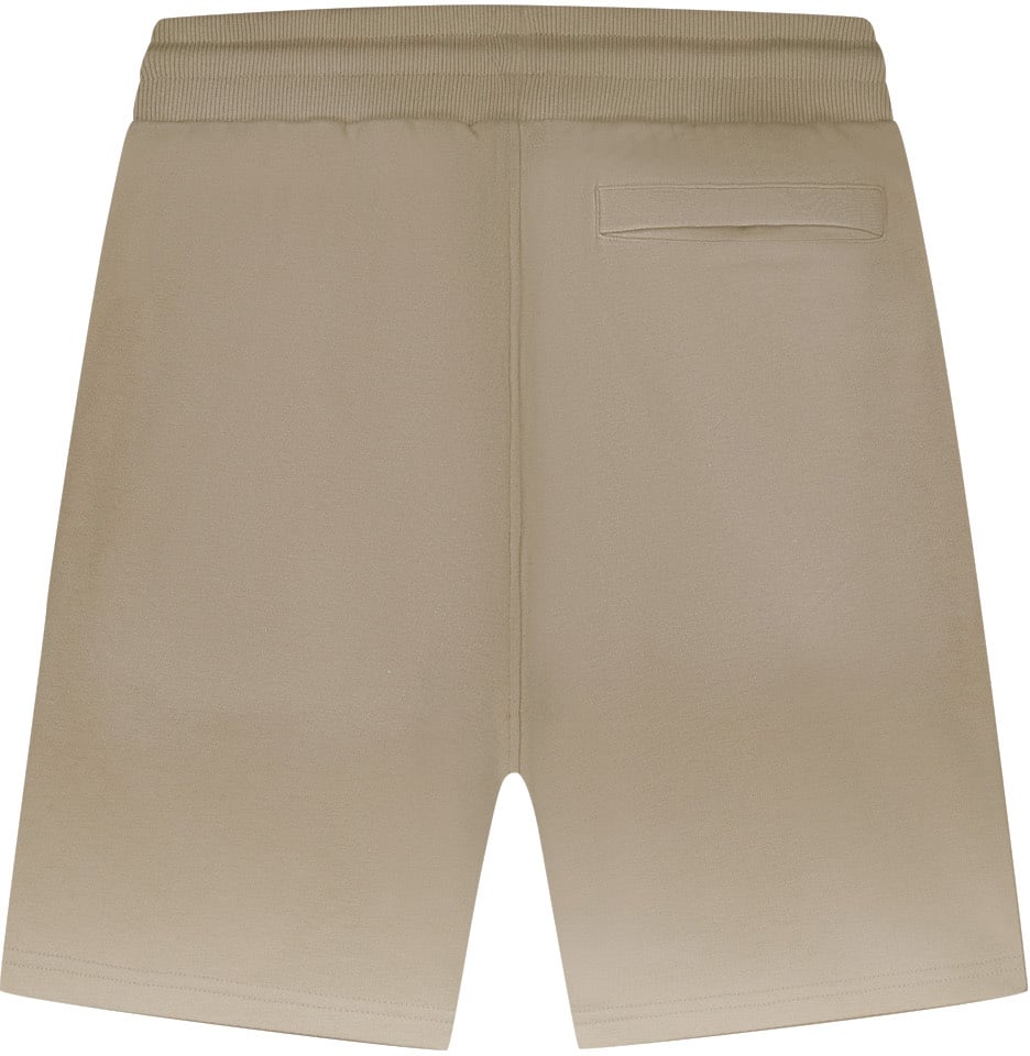 Malelions Men Sprayed Social Club Shorts Bruin