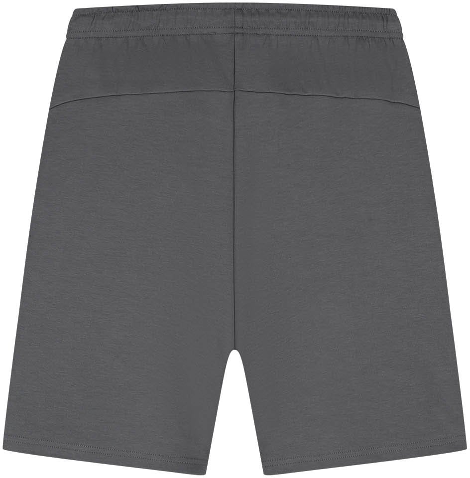 Malelions Malelions Sport Counter Shorts Grijs
