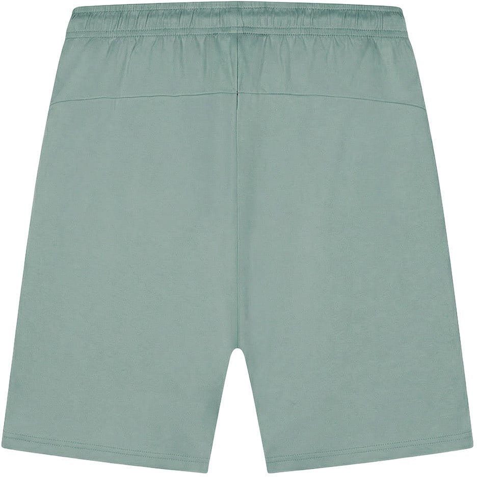 Malelions Malelions Sport Counter Shorts Groen