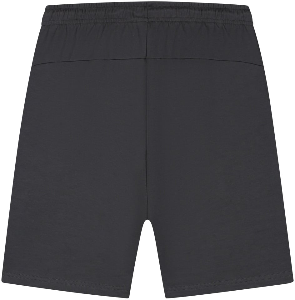 Malelions Malelions Sport Counter Shorts Grijs
